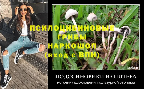 амф Армянск